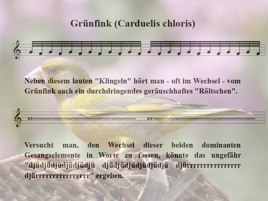 Gruenfink